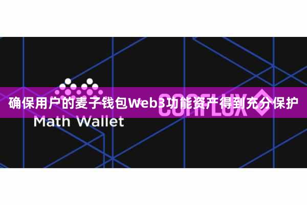 确保用户的麦子钱包Web3功能资产得到充分保护