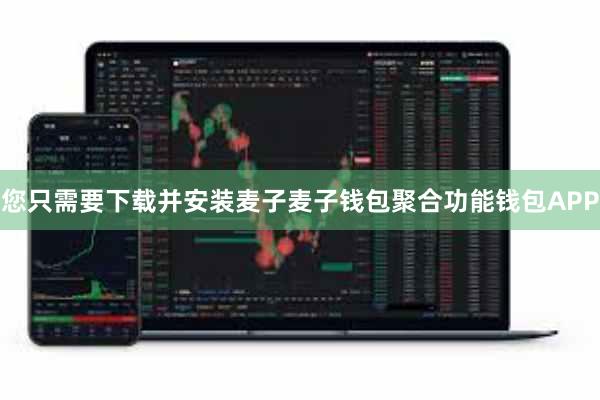 您只需要下载并安装麦子麦子钱包聚合功能钱包APP