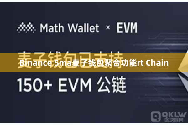Binance Sma麦子钱包聚合功能rt Chain
