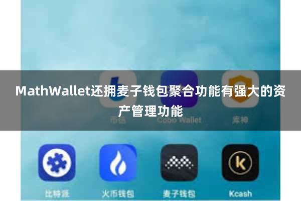 MathWallet还拥麦子钱包聚合功能有强大的资产管理功能