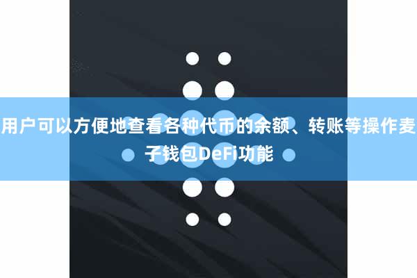 用户可以方便地查看各种代币的余额、转账等操作麦子钱包DeFi功能