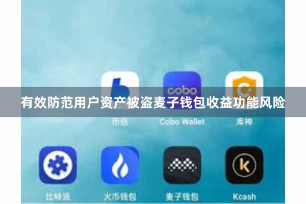 有效防范用户资产被盗麦子钱包收益功能风险