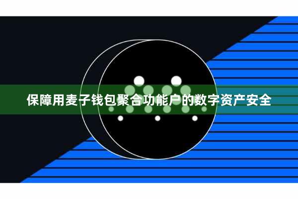保障用麦子钱包聚合功能户的数字资产安全